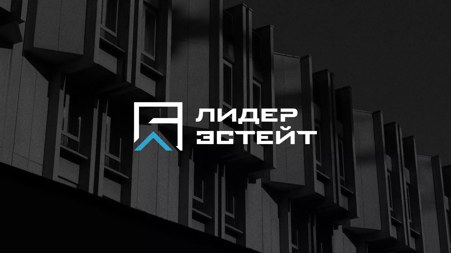 Разработка логотипа агентства недвижимости «Лидер Эстейт» в Спас-Деменске